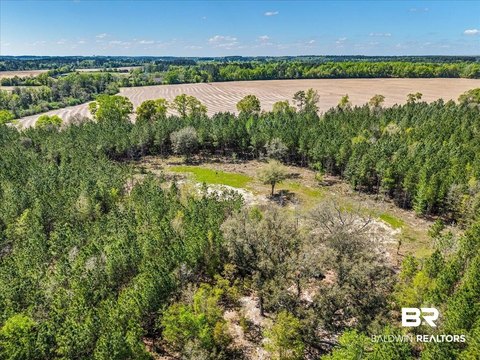 Rural Agricultural Land with Cleared Homesite