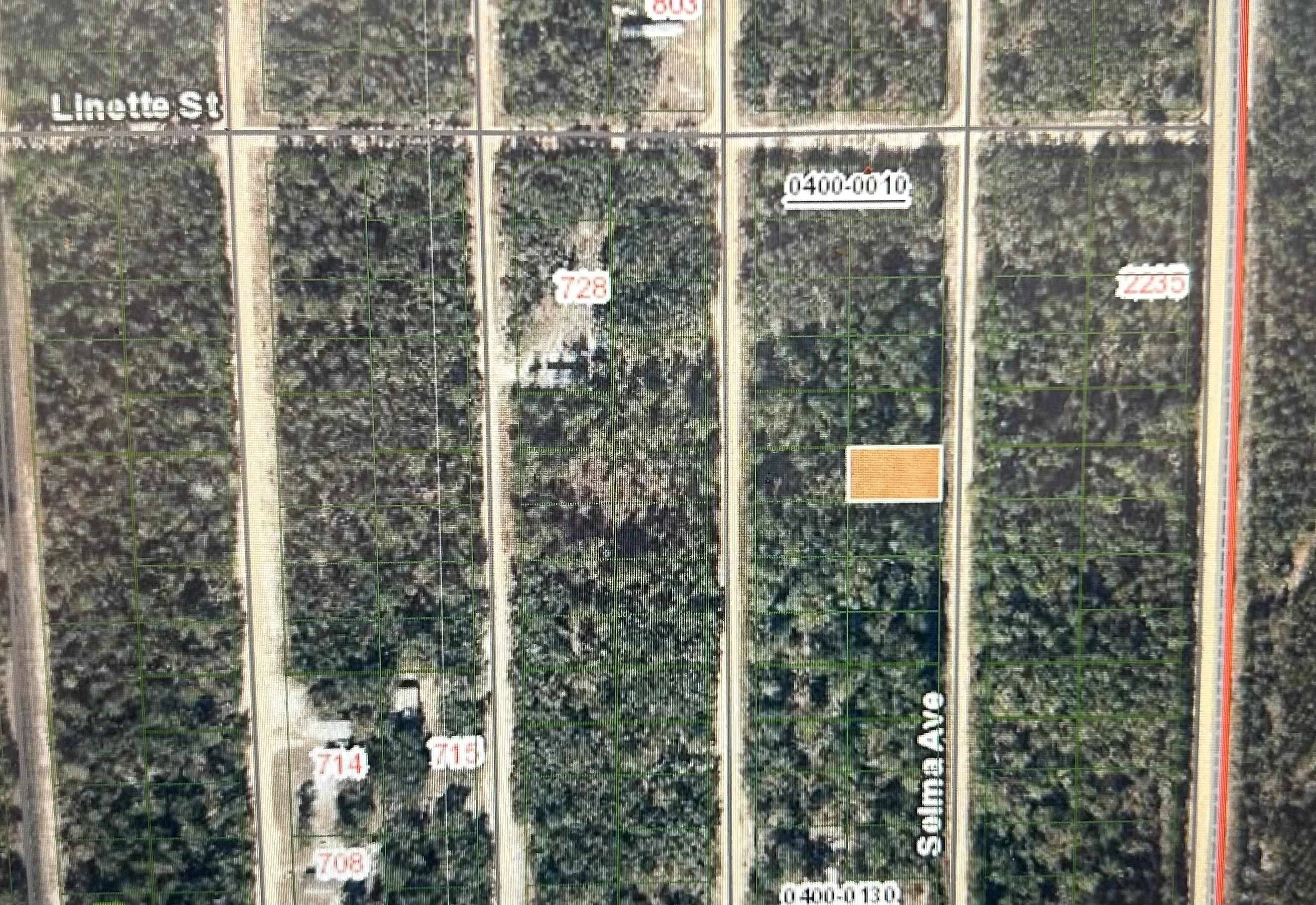 Vacant Lot in Interlachen Estates