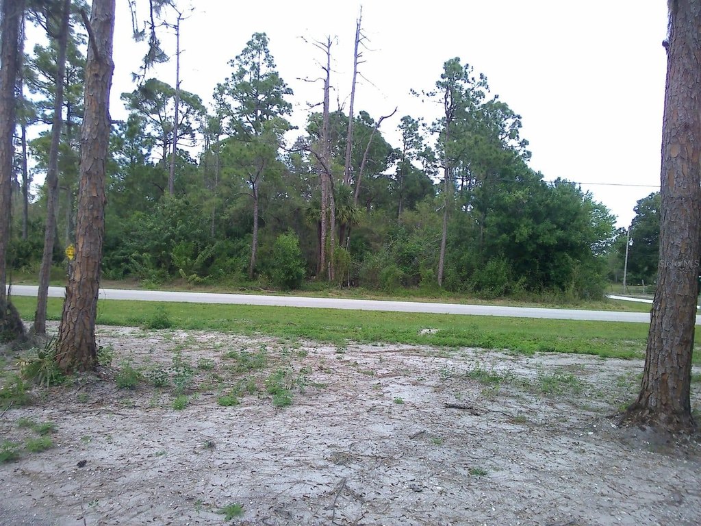 Picture 8