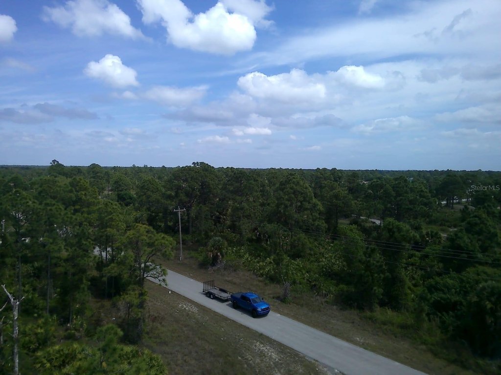 Picture 9