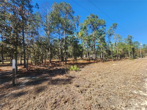 Land, CLEWISTON, FL