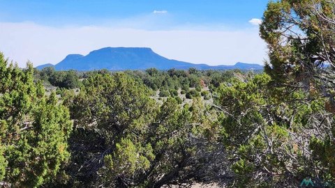 Land, Pie Town, NM