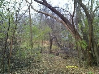 Land For Sale, Spring Grove