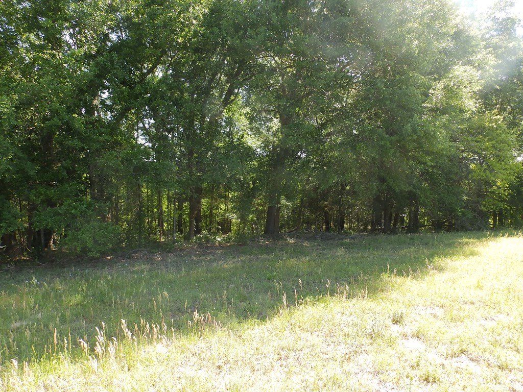 Picture 10