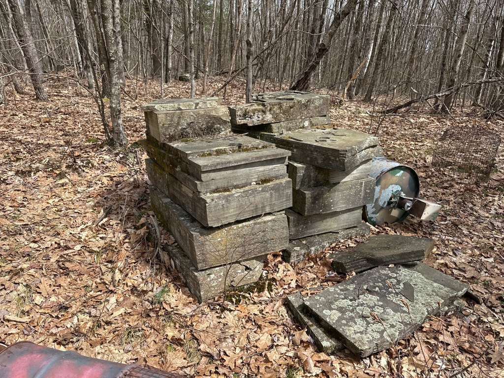 Picture 15