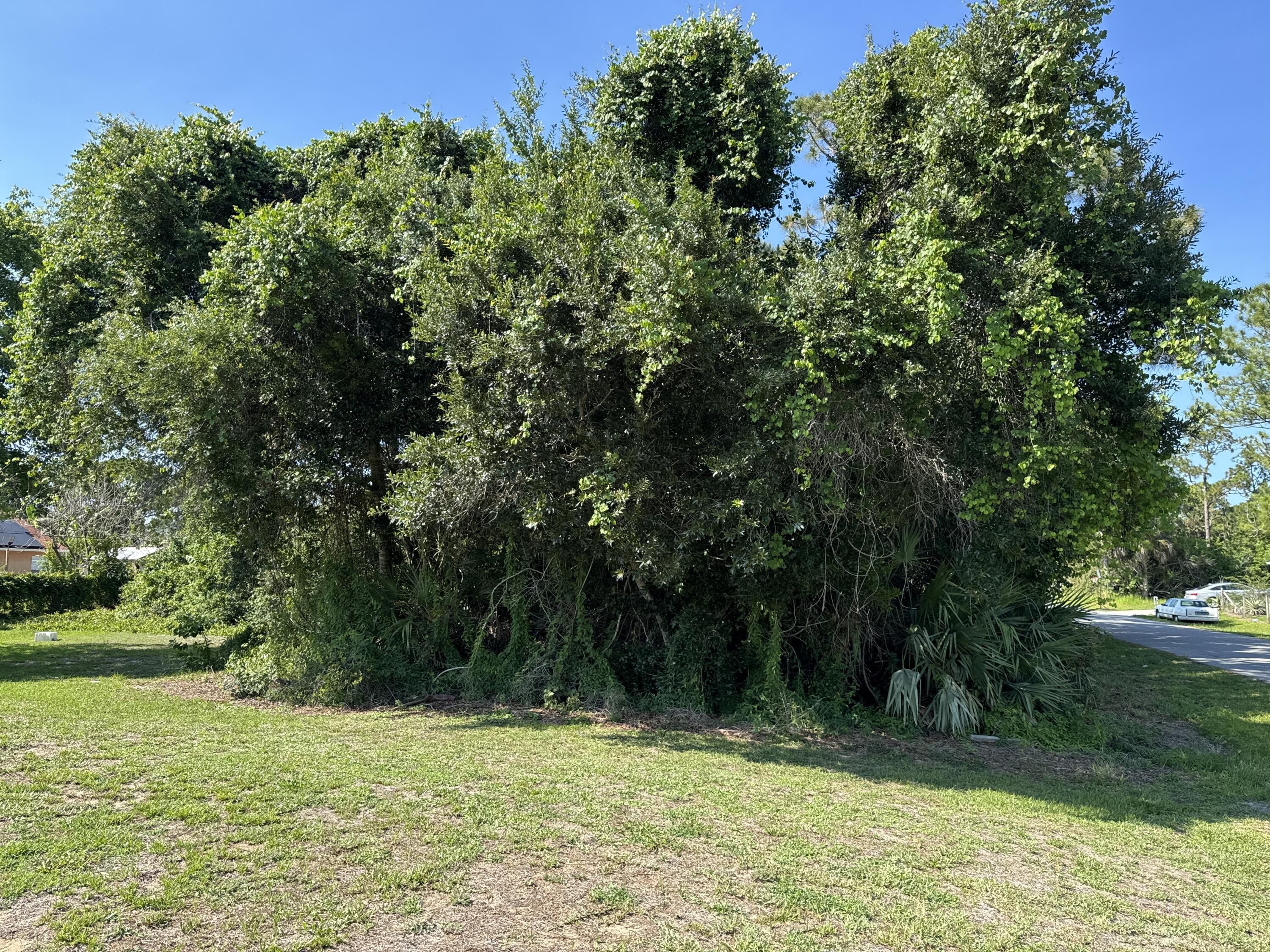 Vacant Land in Palm Bay