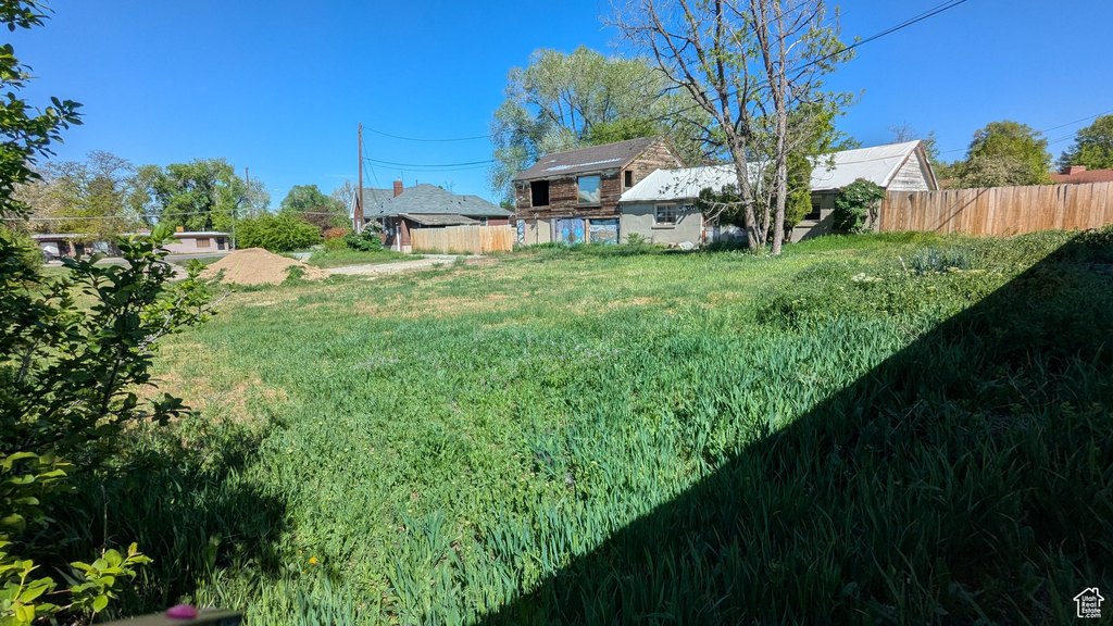 Picture 25