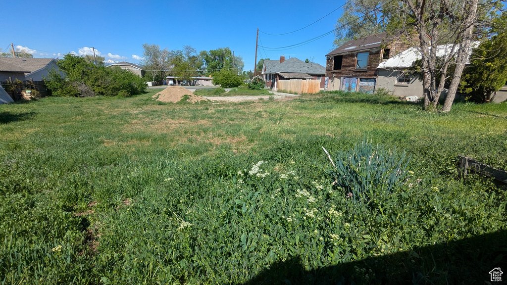 Picture 21