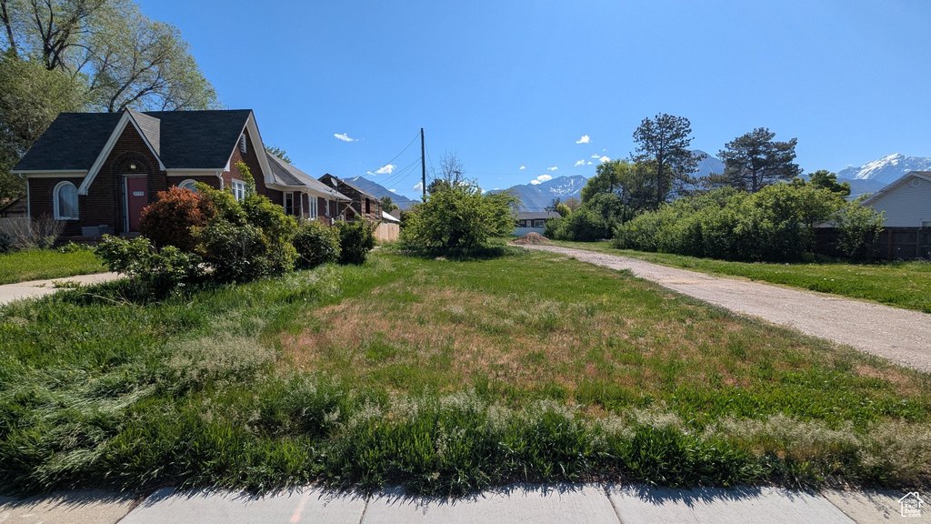 Picture 20