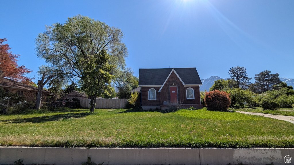 Picture 19