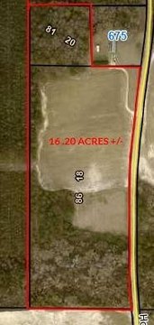 Vienna, GA Farmland Opportunity