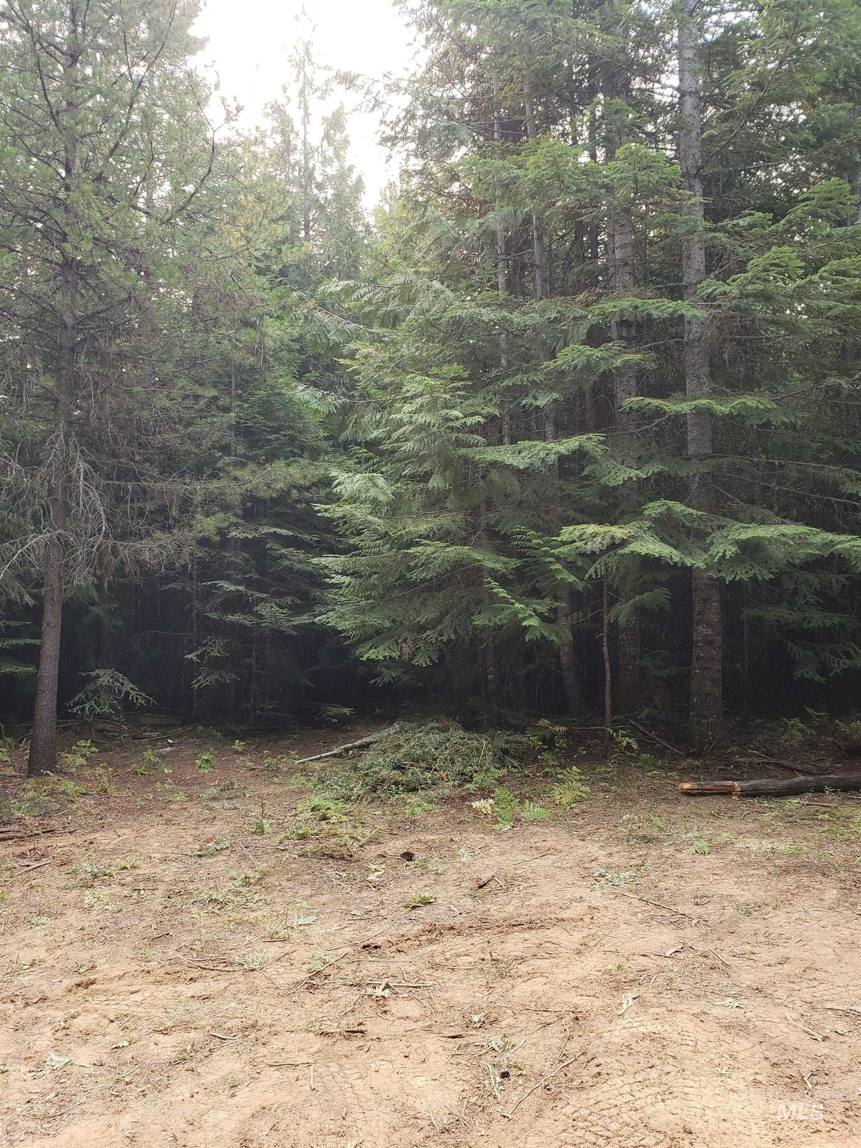 5 Acres of Idaho Wilderness