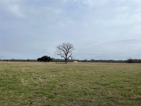 Blooming Grove Ranch with Water Access
