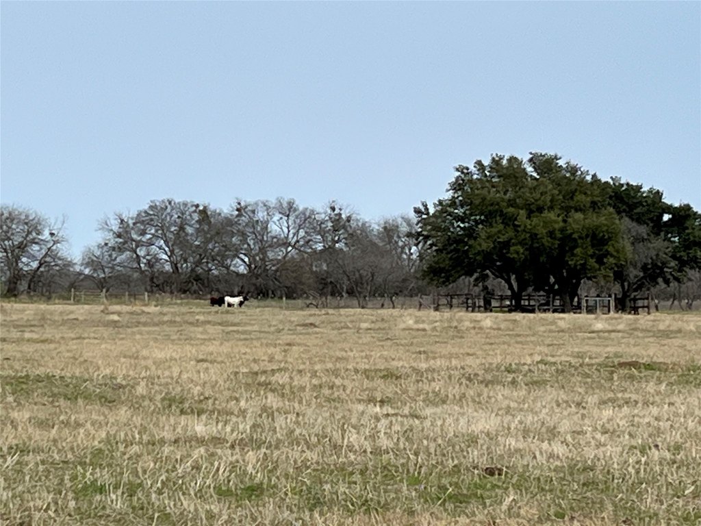 Picture 8
