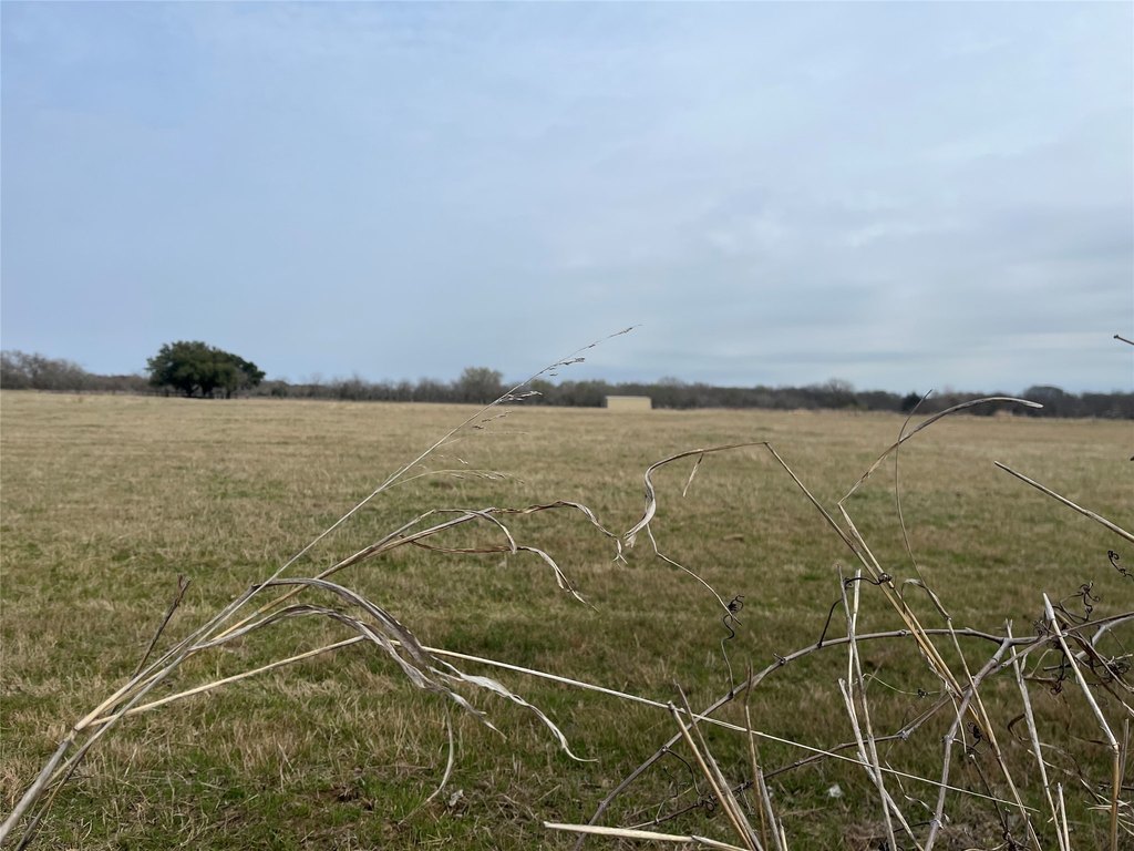 Picture 24
