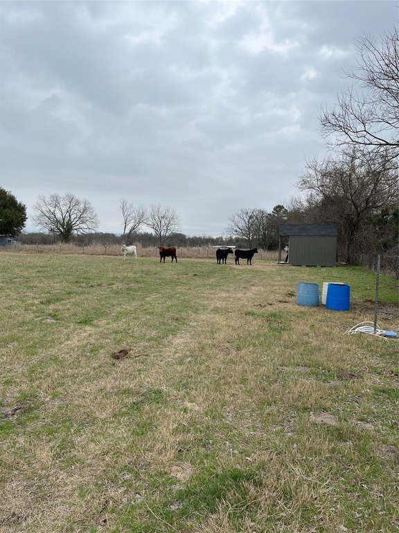 Picture 23