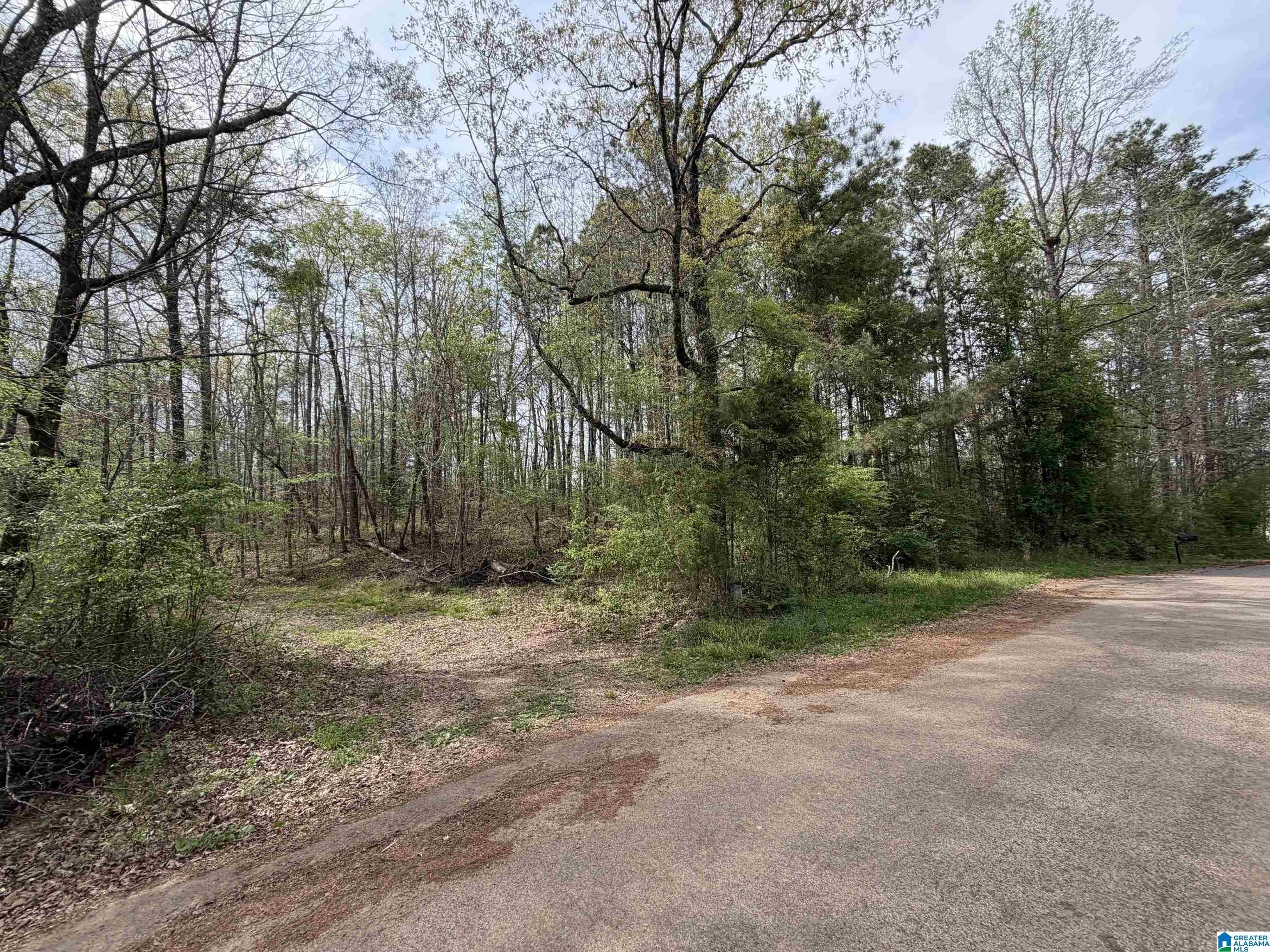 6-Acre Wooded Mini Farm Lot