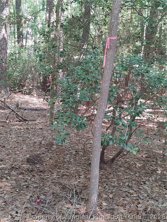 Picture 14