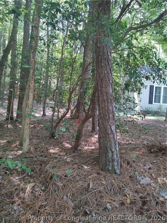 Picture 16