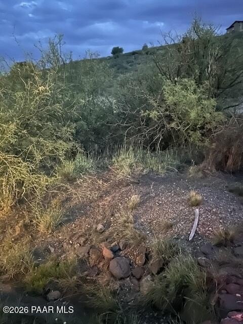 Picture 20