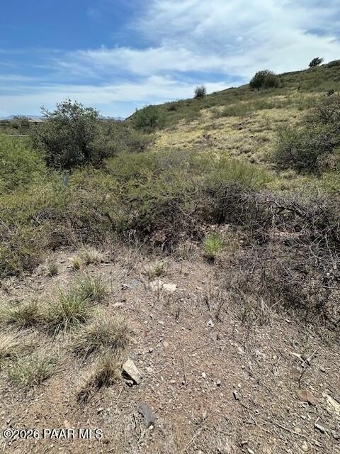Picture 25