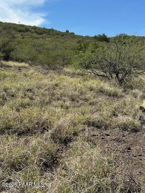 Picture 14