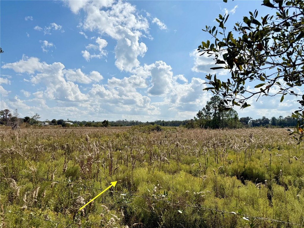 Picture 31