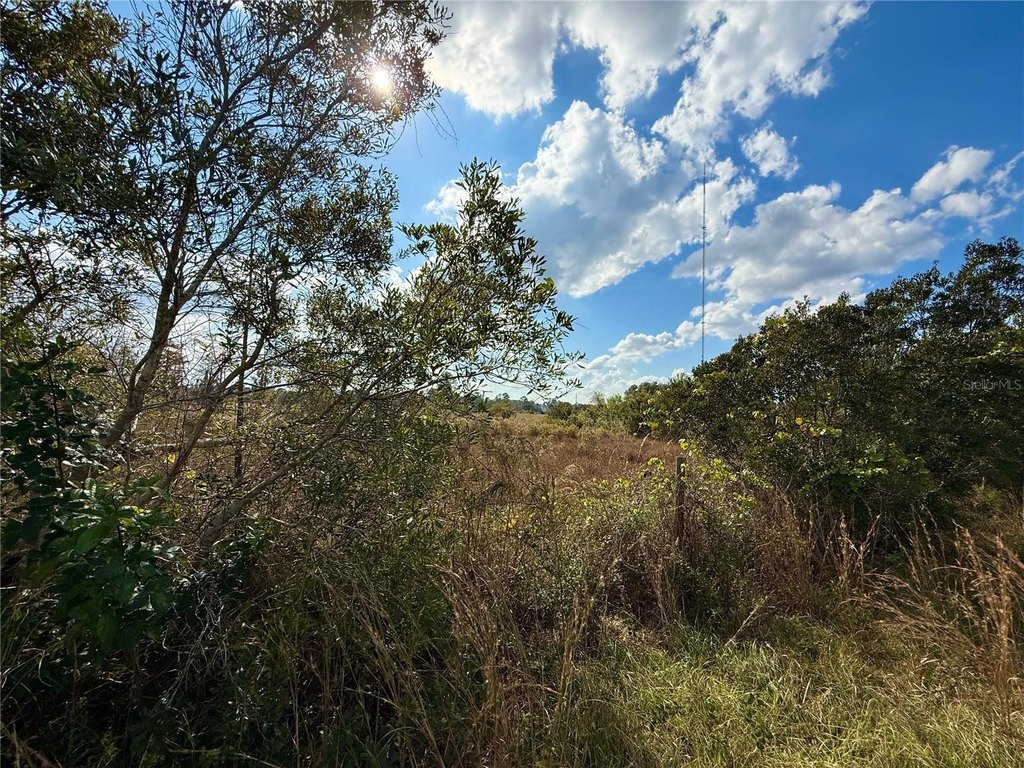 Picture 21