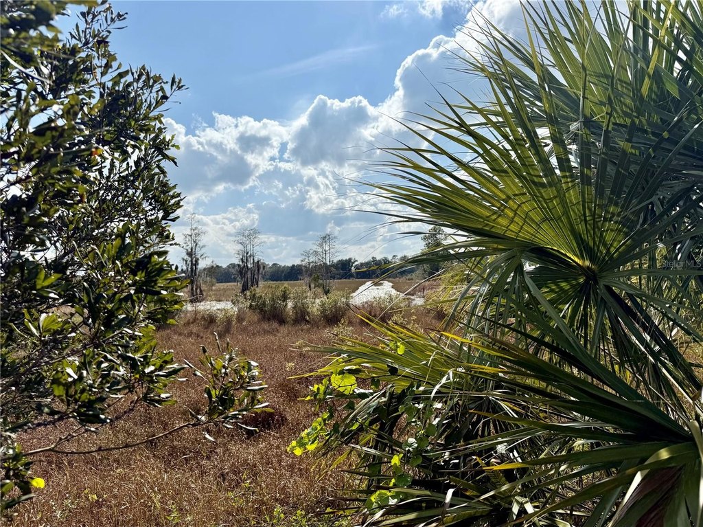 Picture 23