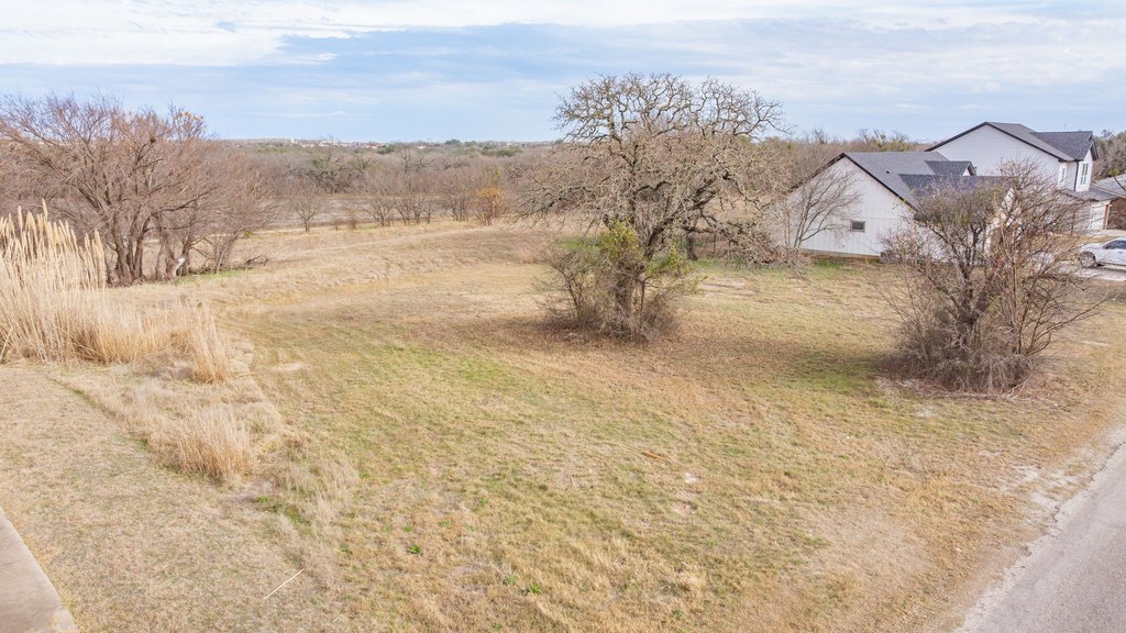 Picture 15