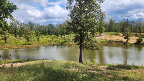 Vacant Land, Story, AR