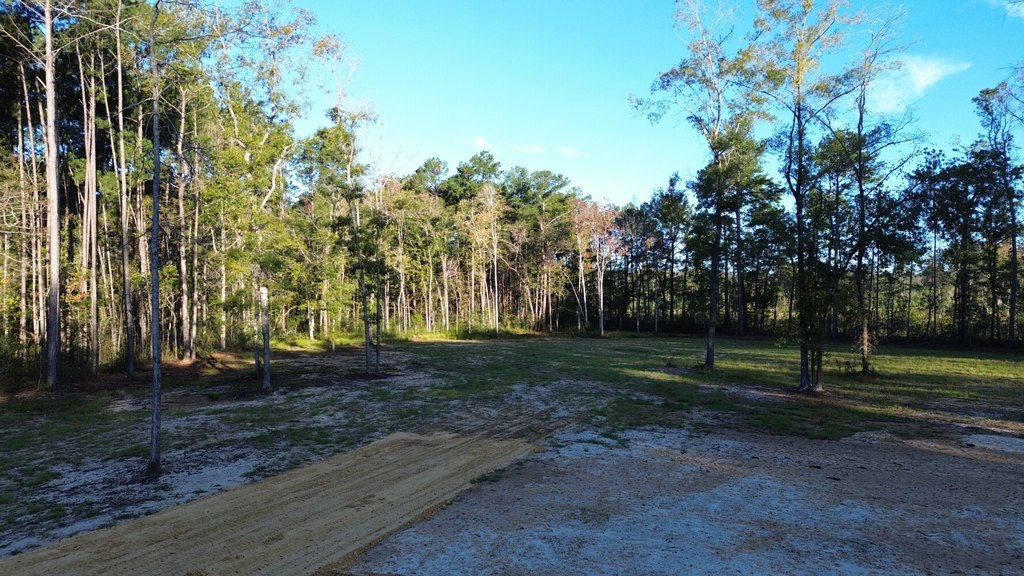 Picture 12