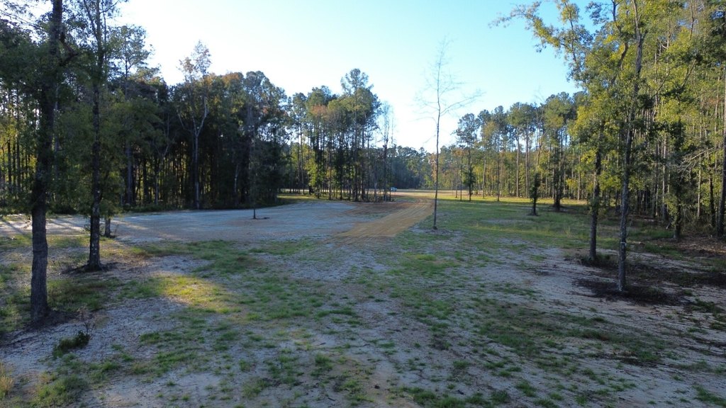 Picture 15