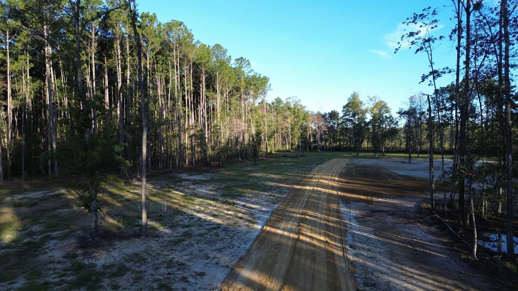 Picture 8