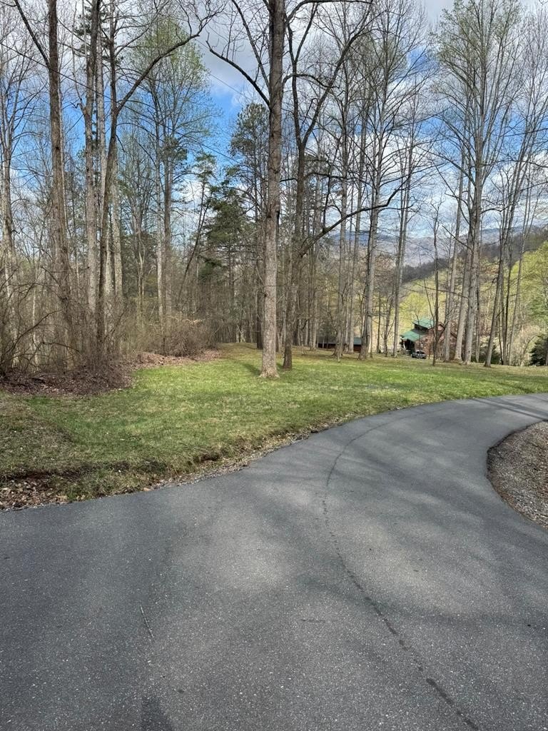 61 Acres Mountain Land Sylva