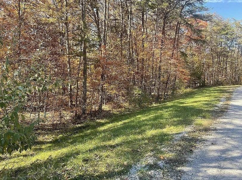 Creek Front Lot For Sale