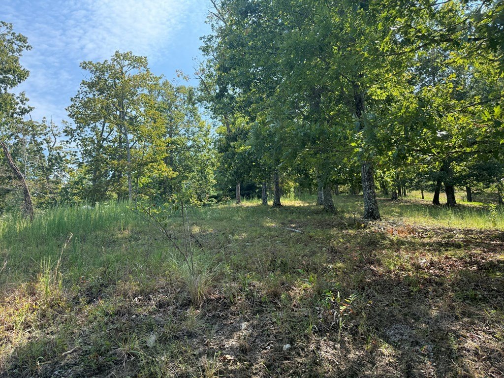 Picture 3
