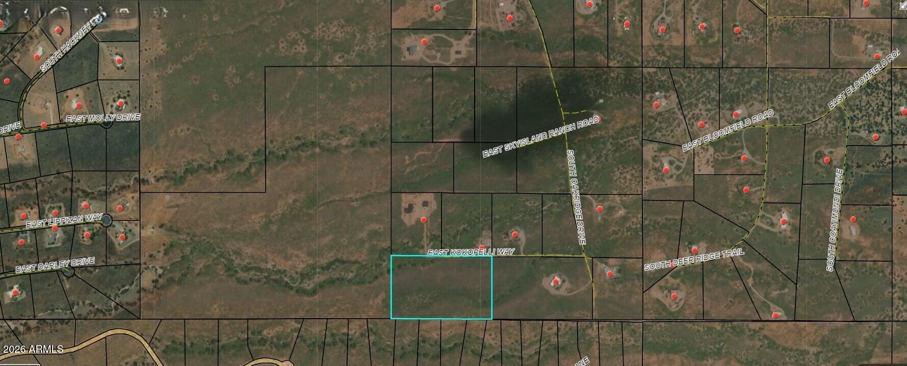 Hereford Land with Mountain Views
