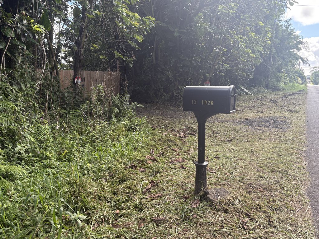 Picture 16