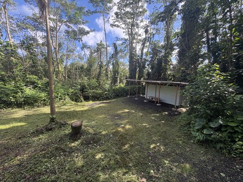 Land, Pahoa, HI