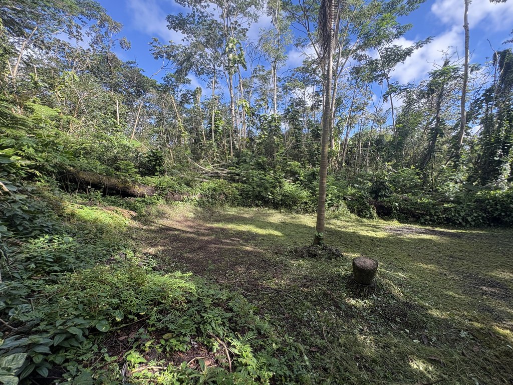 Picture 15