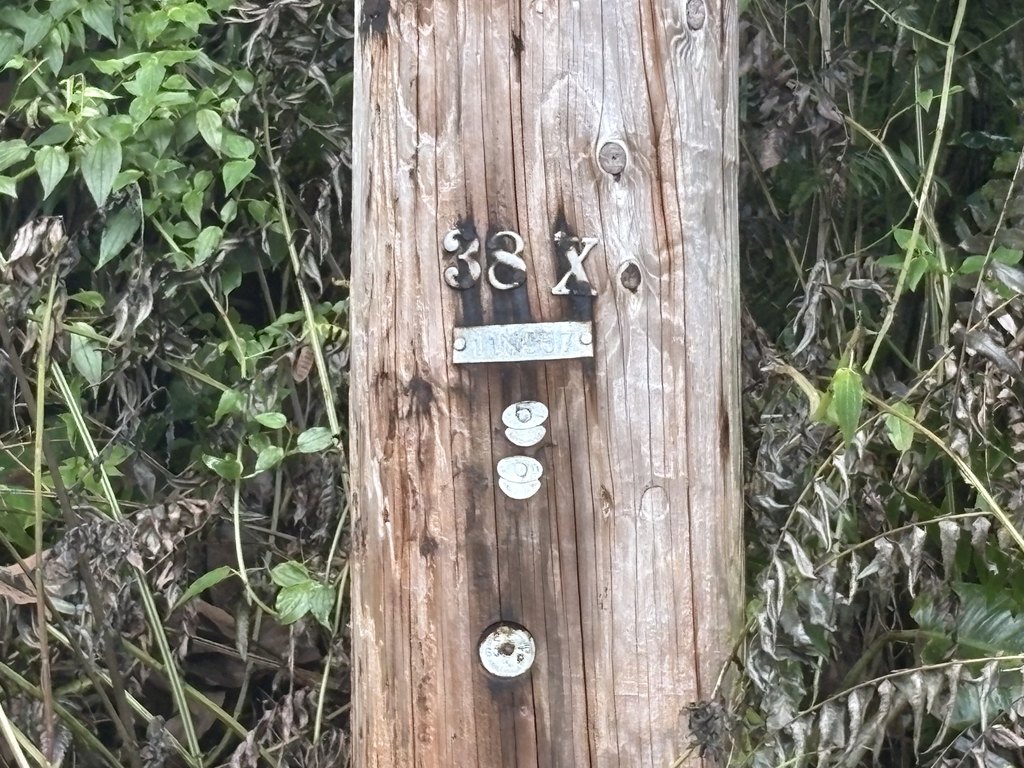 Picture 17