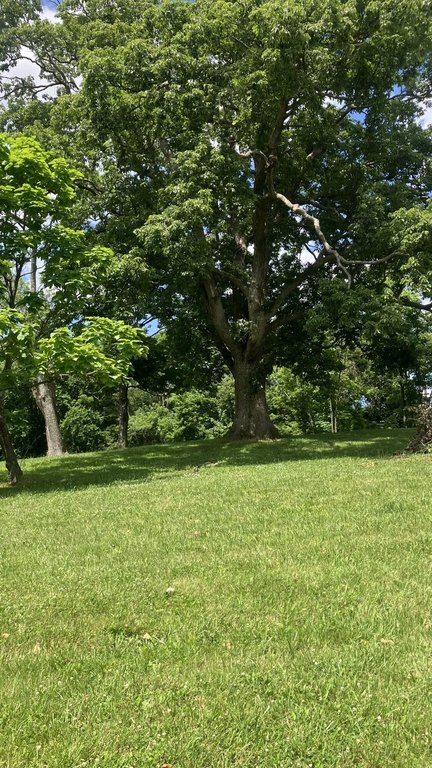 Picture 22