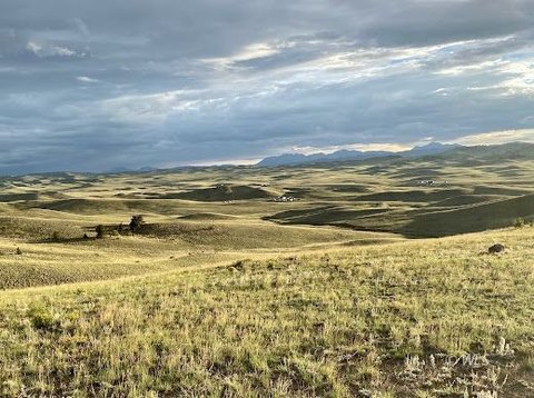 40 Acres in Hartsel, Colorado