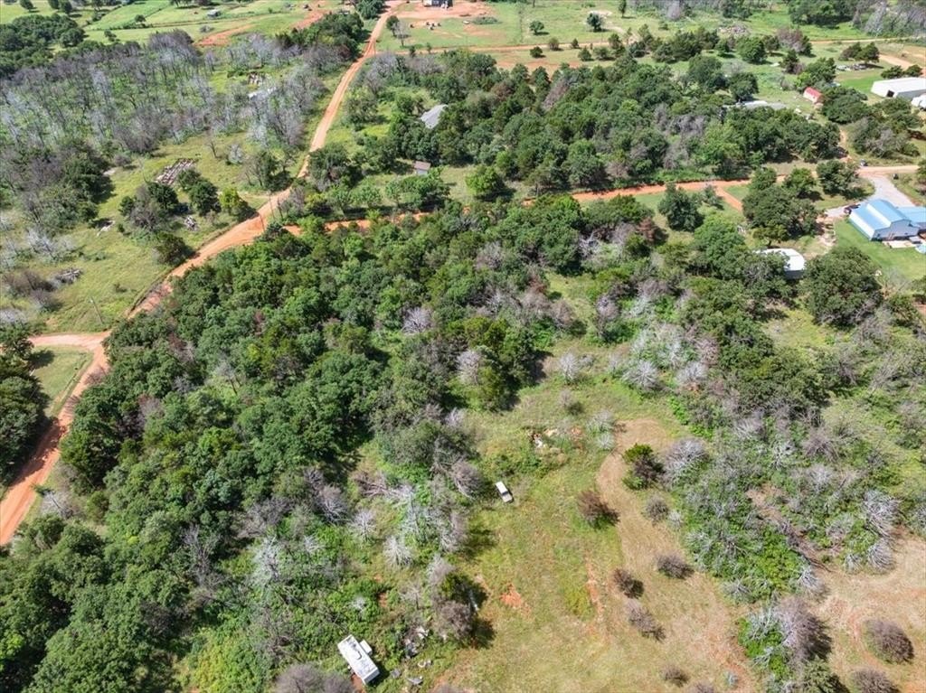Picture 15