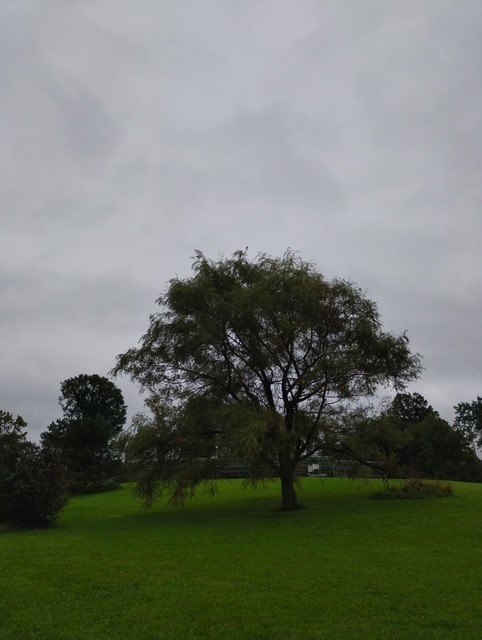 Picture 2