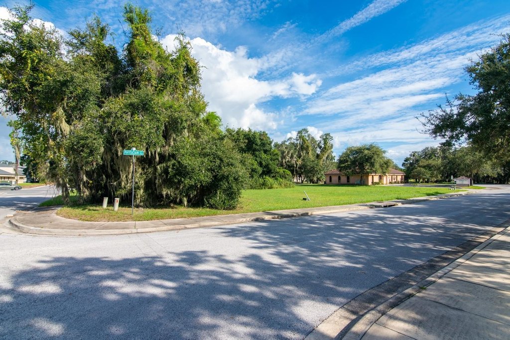 Picture 20