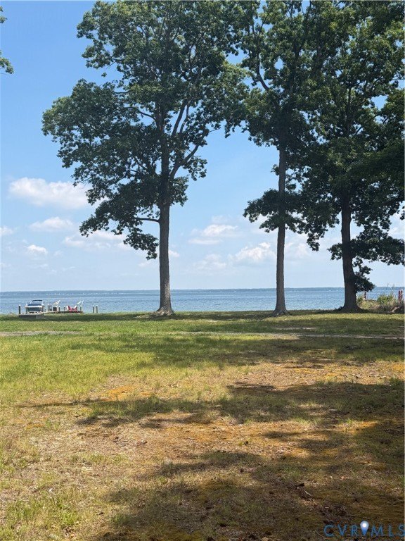 Picture 8