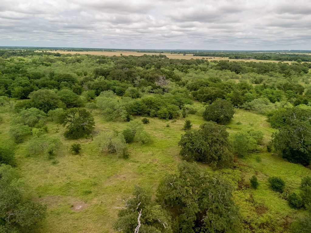 Picture 27