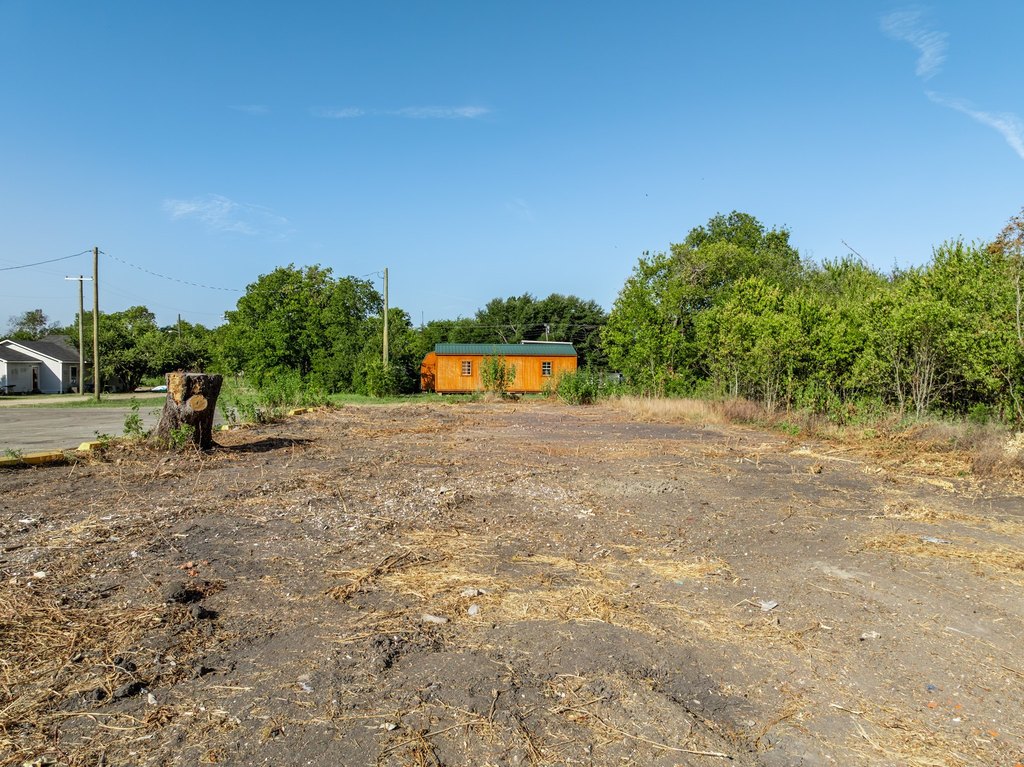 Picture 20